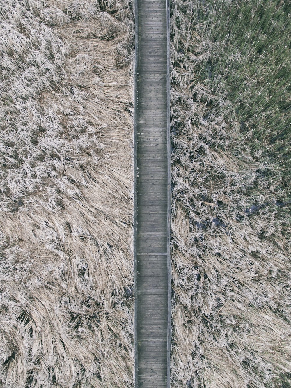 Fotografía a vista de pájaro del puente