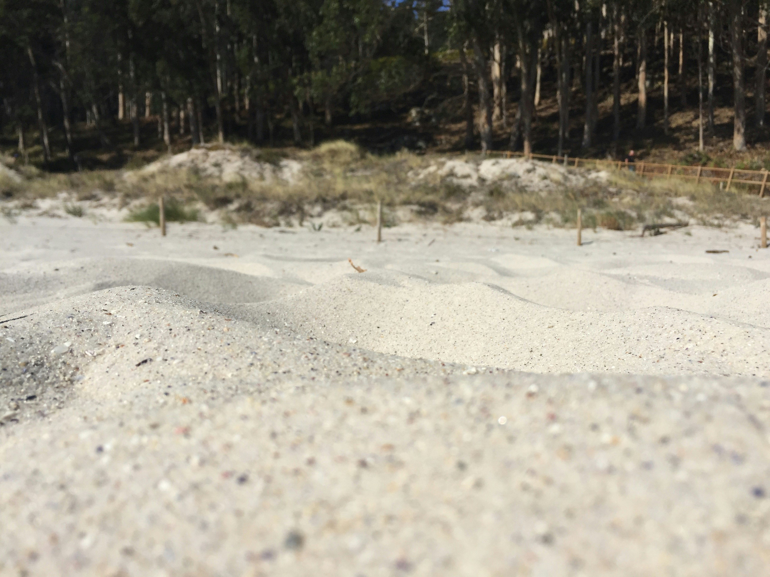 Free Unsplash photo from Janaina  Gama