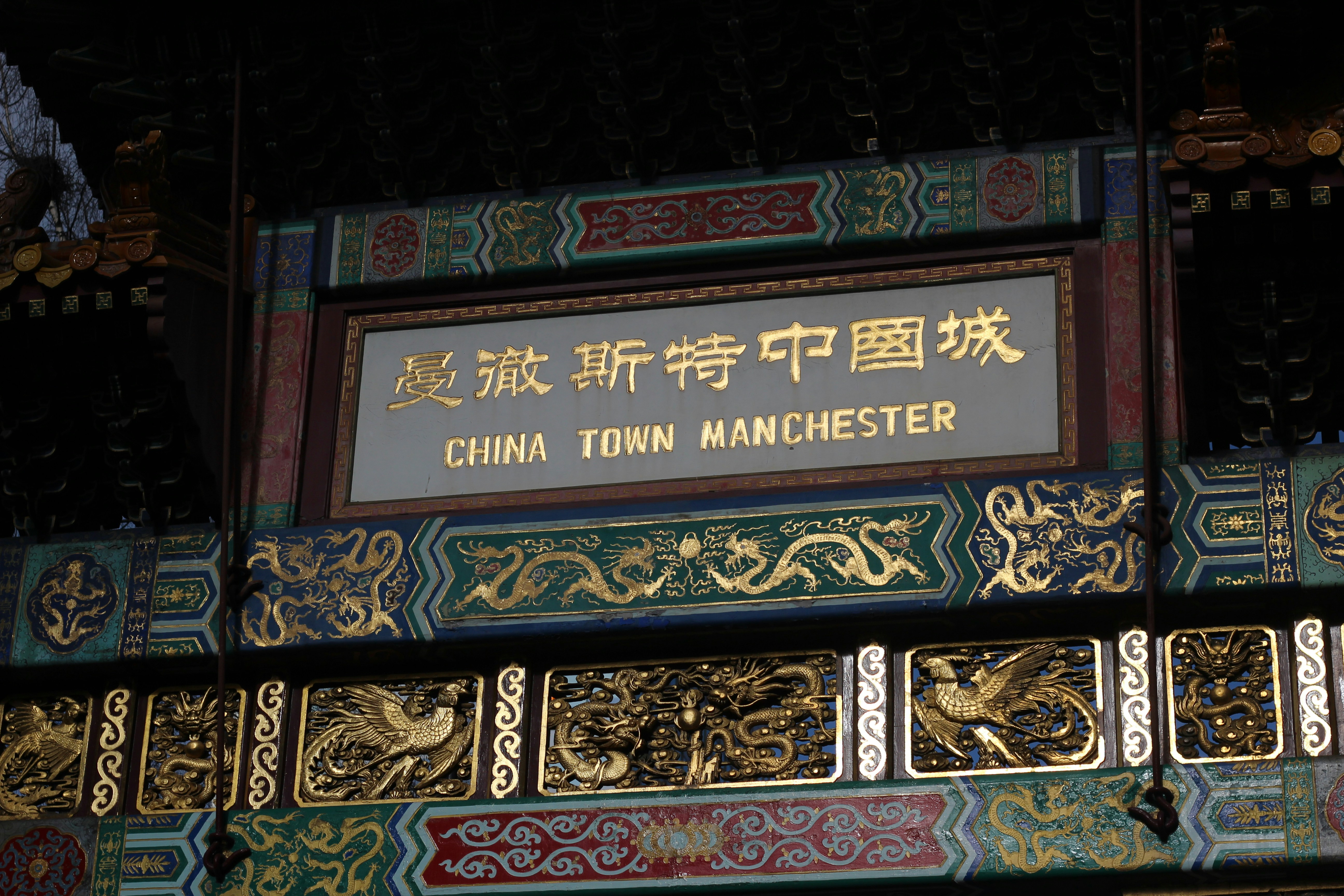 Free Unsplash photo from Izaak Berkeley-Hurst