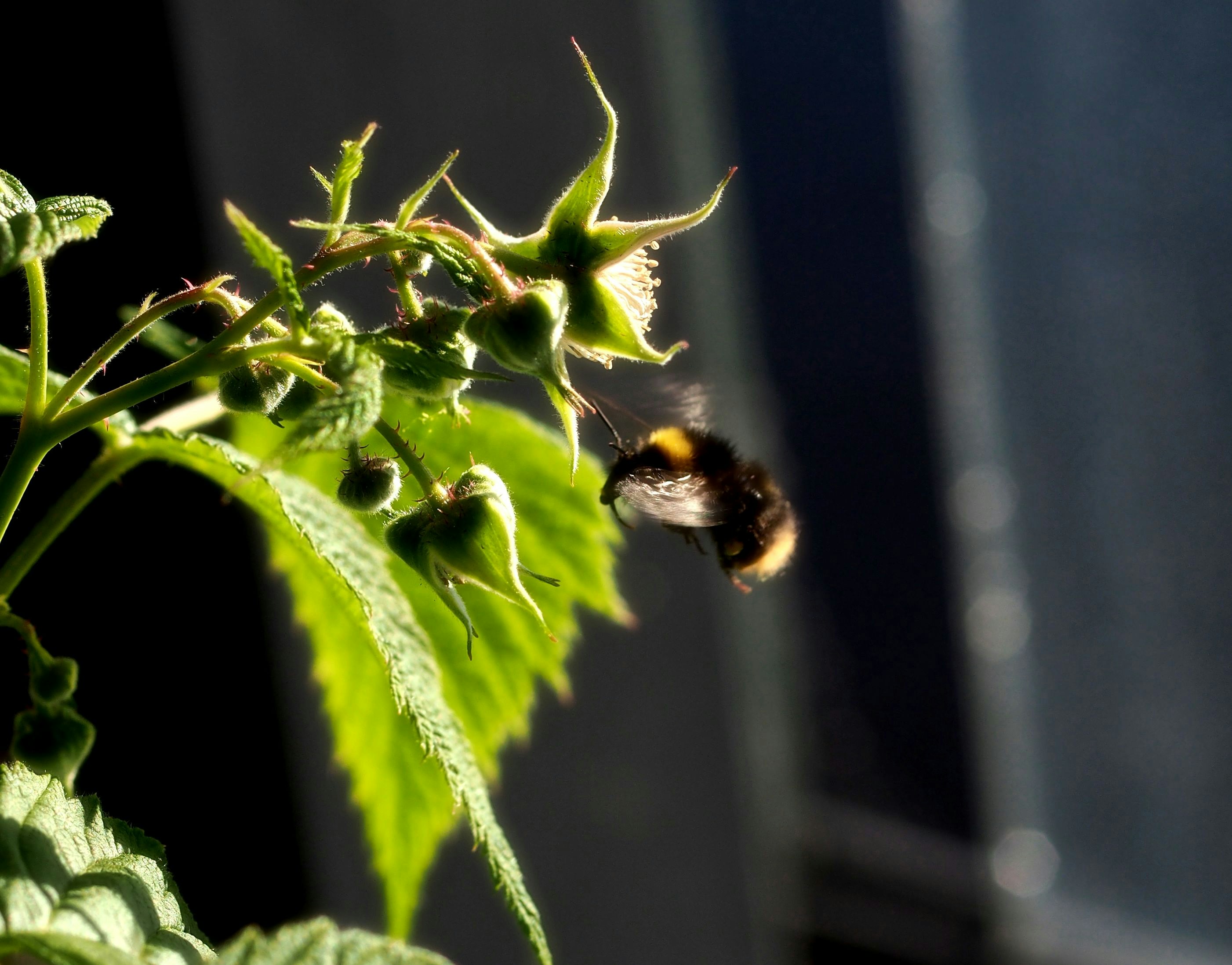 Free Unsplash photo from Arjan de Jong