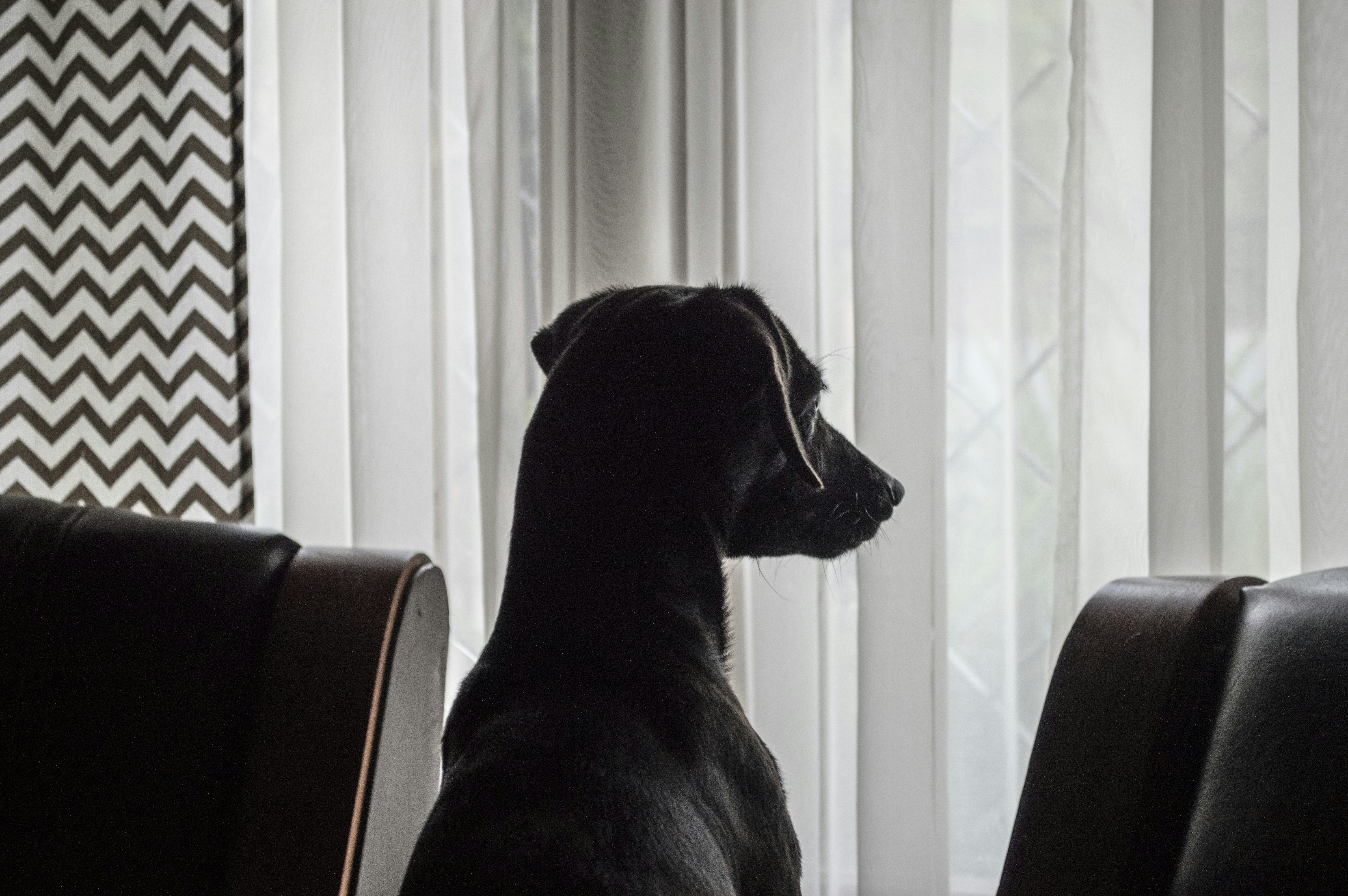 Free Unsplash photo from Ariel Schmunck