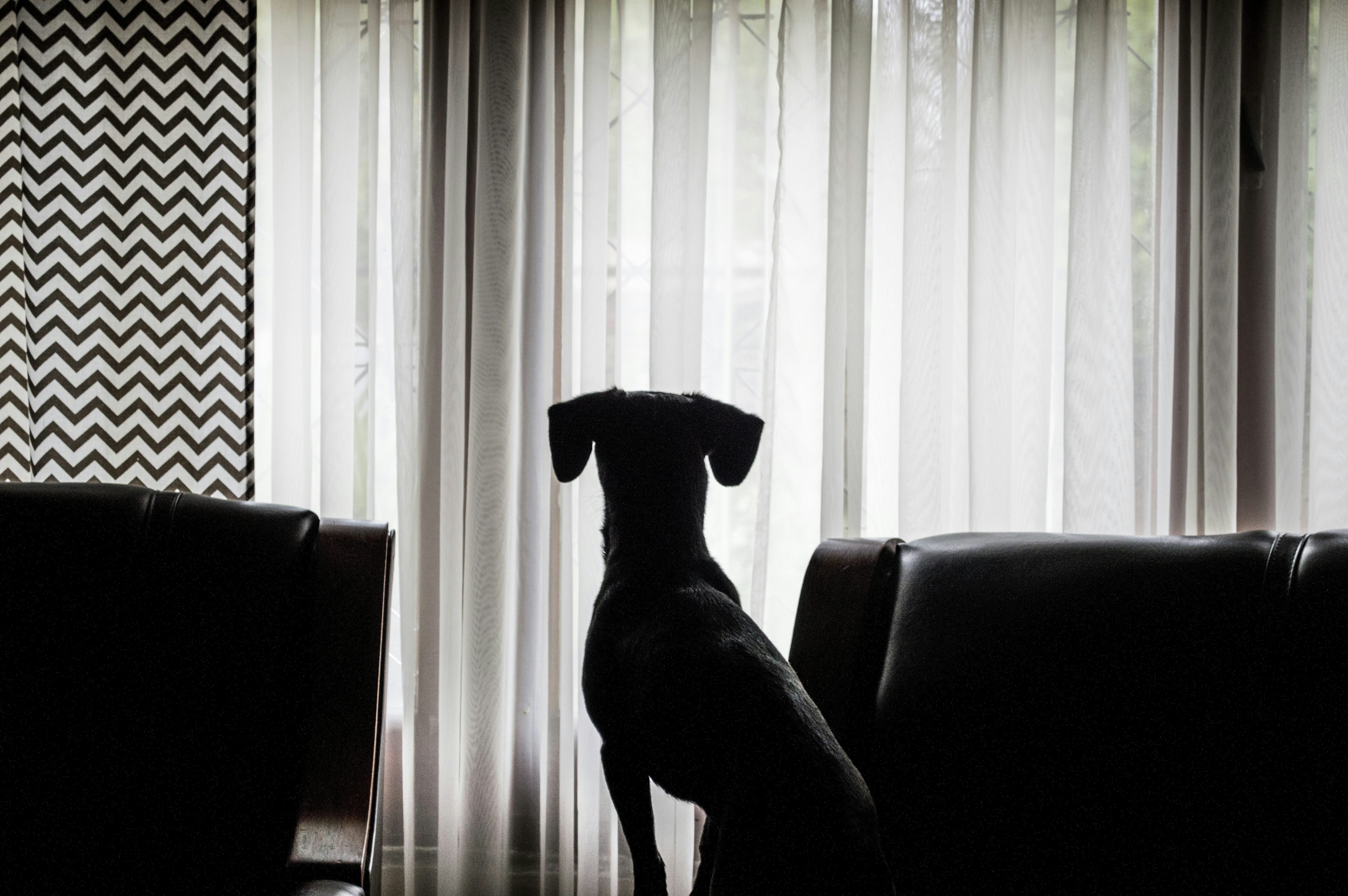 Free Unsplash photo from Ariel Schmunck