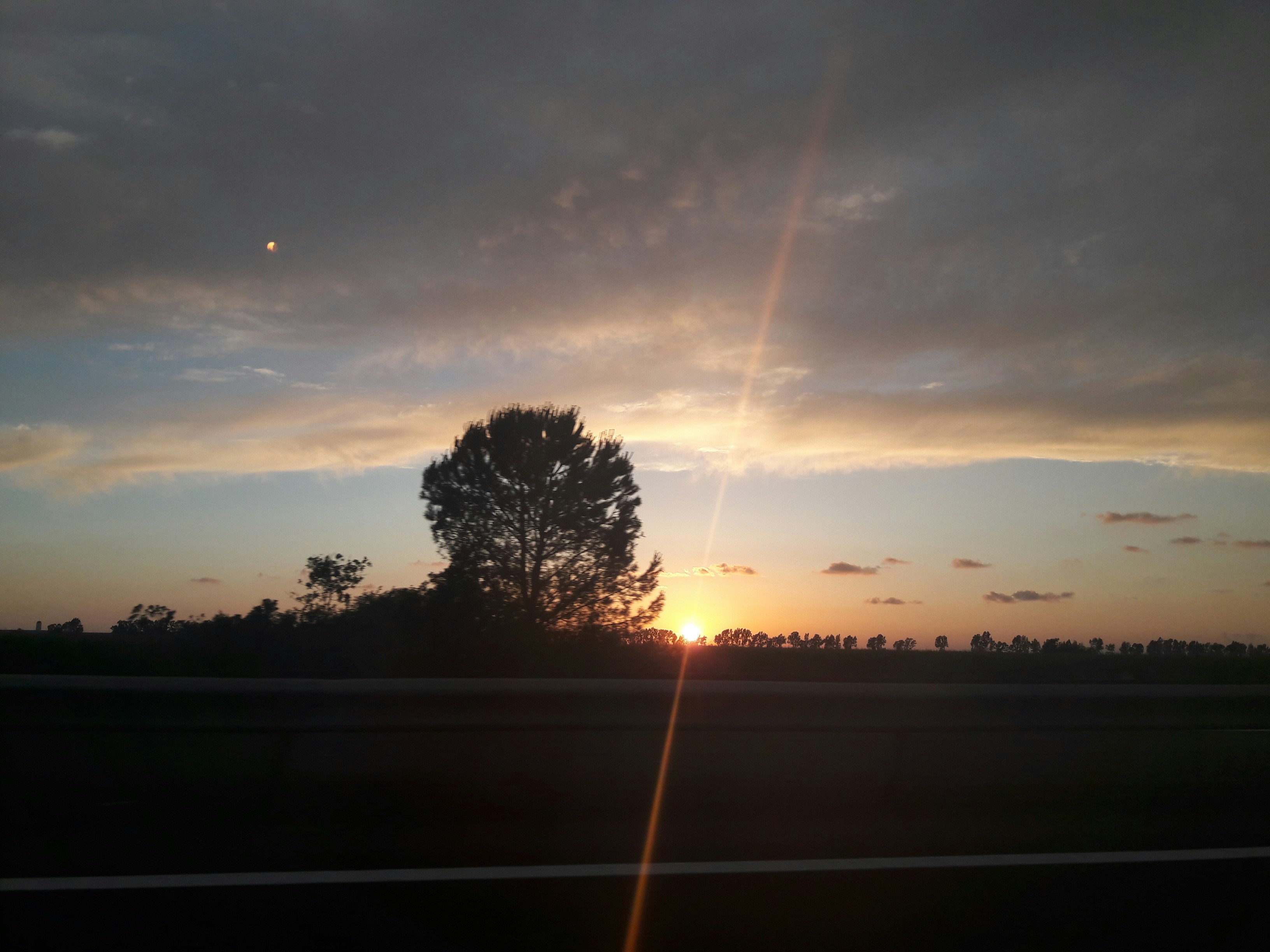 Free Unsplash photo from Nerea