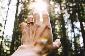 person's hand reaching out sunlight