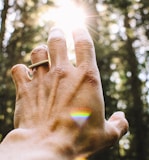 person's hang reaching out sunlight