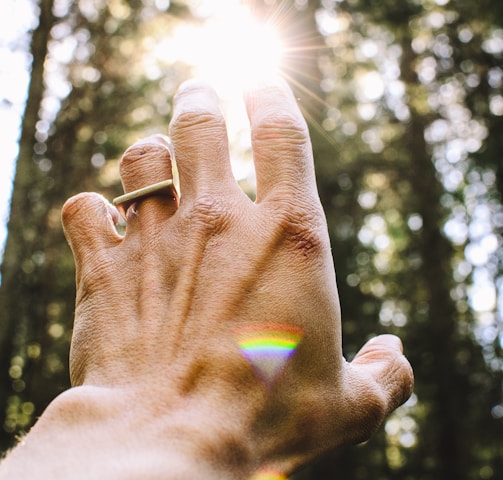 person's hang reaching out sunlight