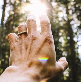 person's hang reaching out sunlight