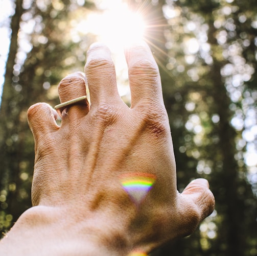 person's hang reaching out sunlight