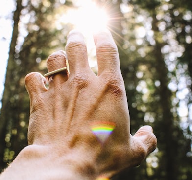 person's hang reaching out sunlight