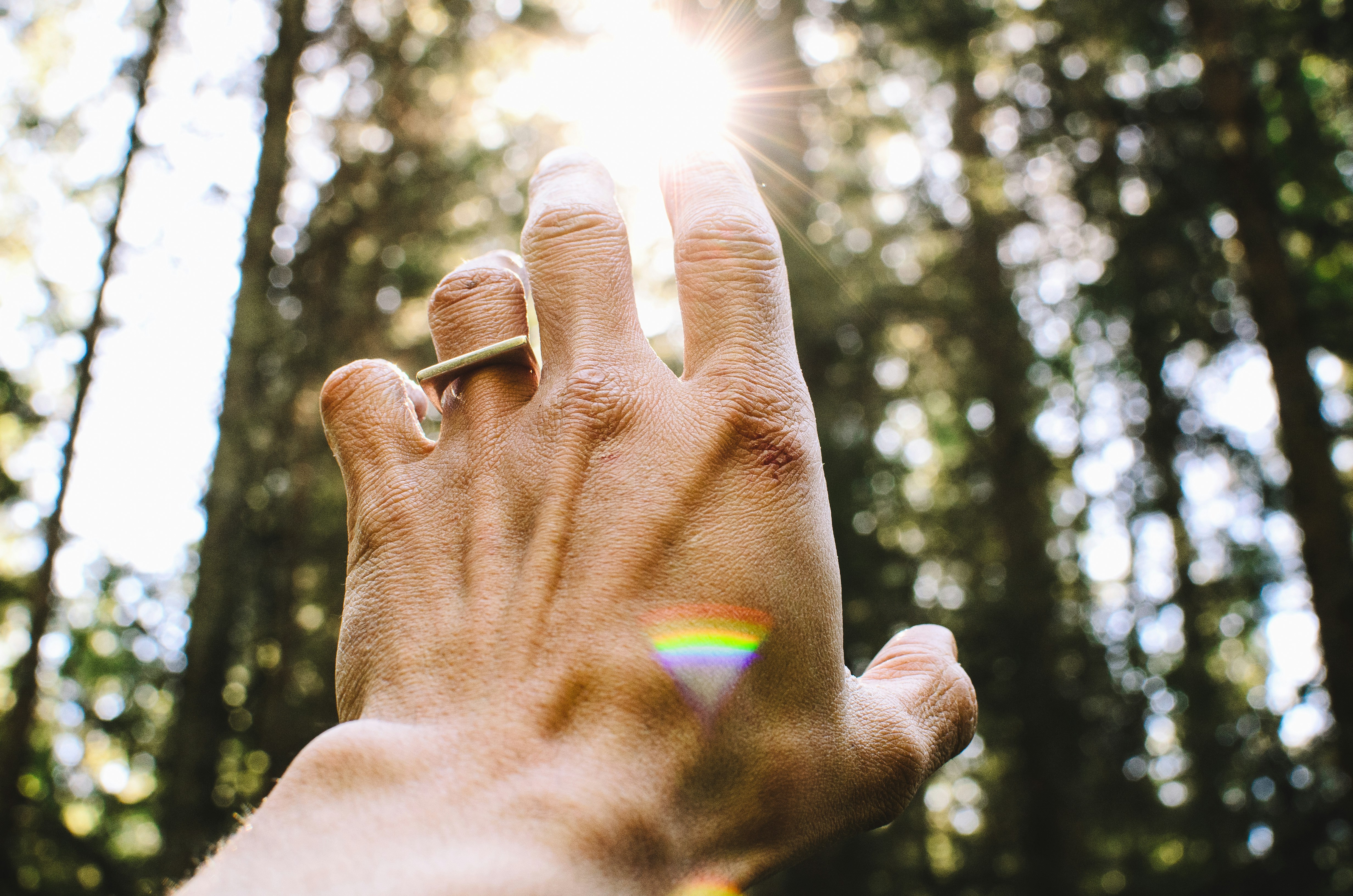 person's hang reaching out sunlight