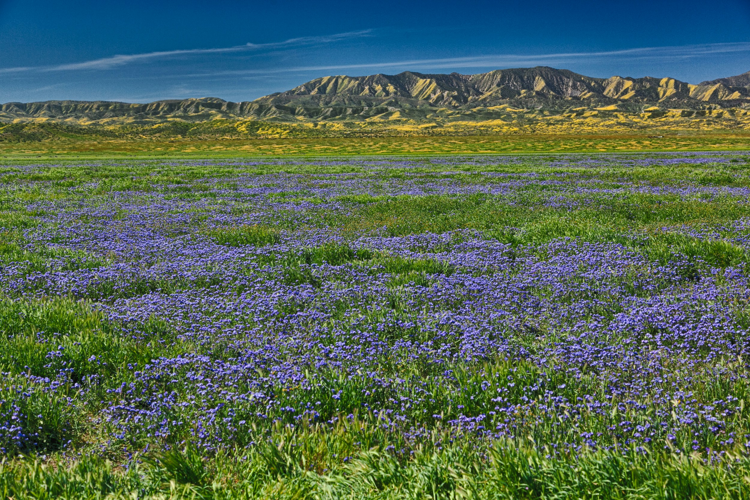 Free Unsplash photo from Dusty Stiles