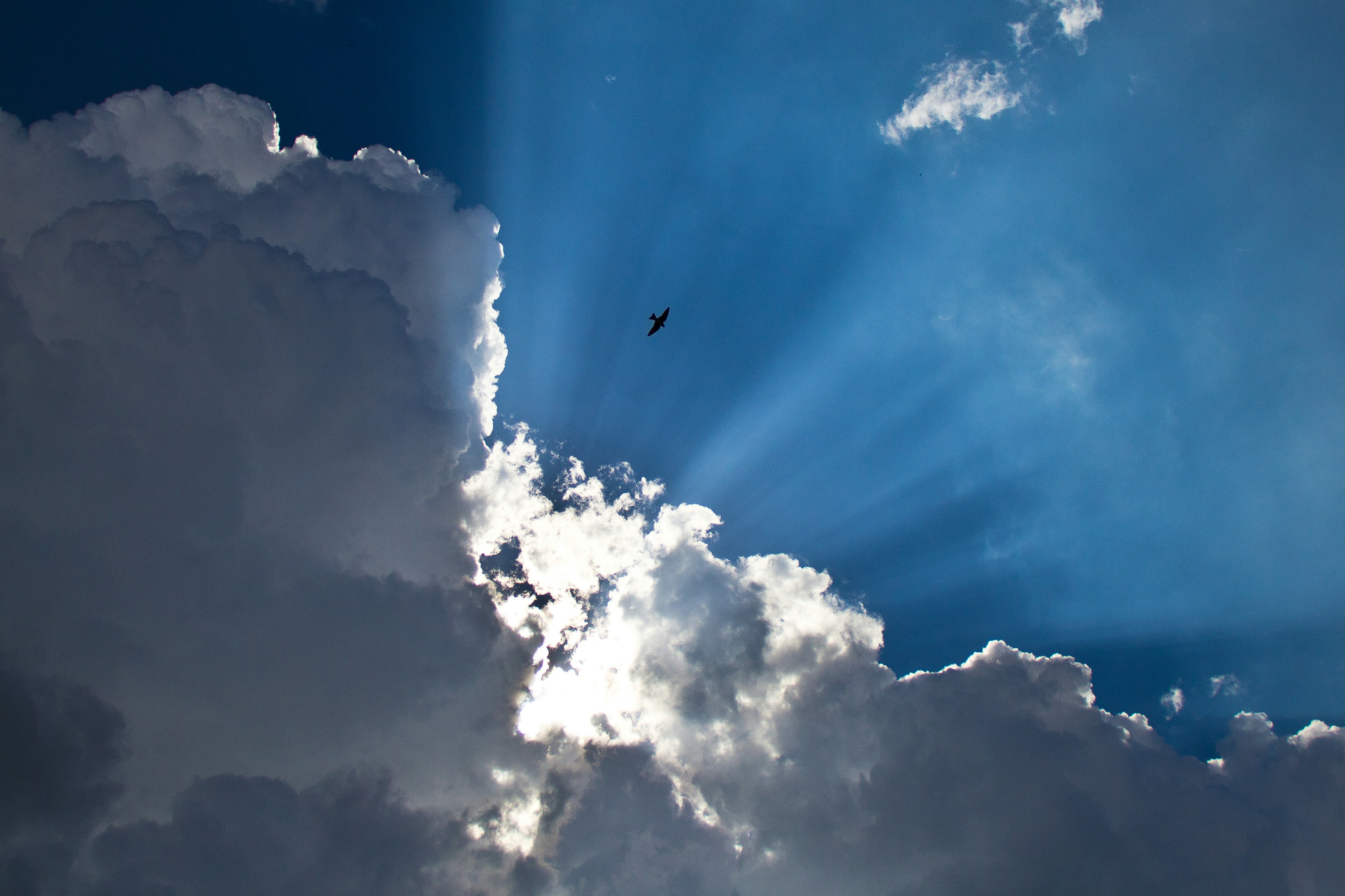 Free Unsplash photo from Abner Valero