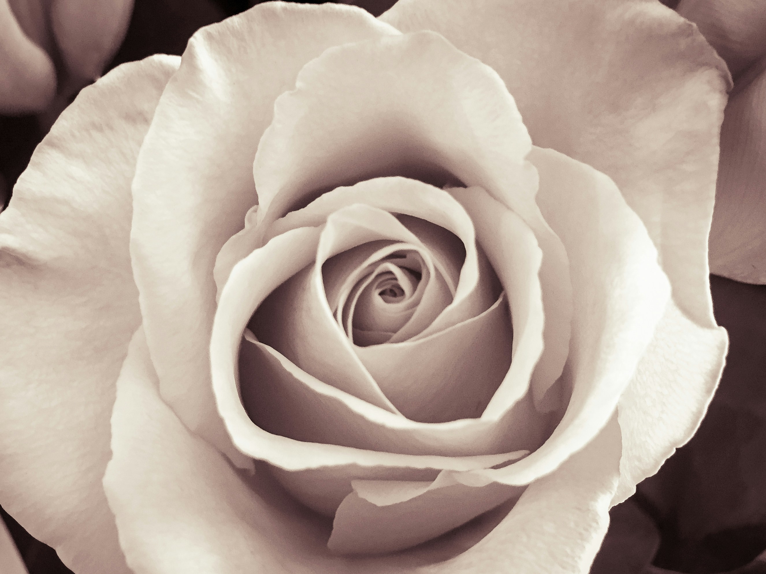 Free Unsplash photo from Joe Shillington