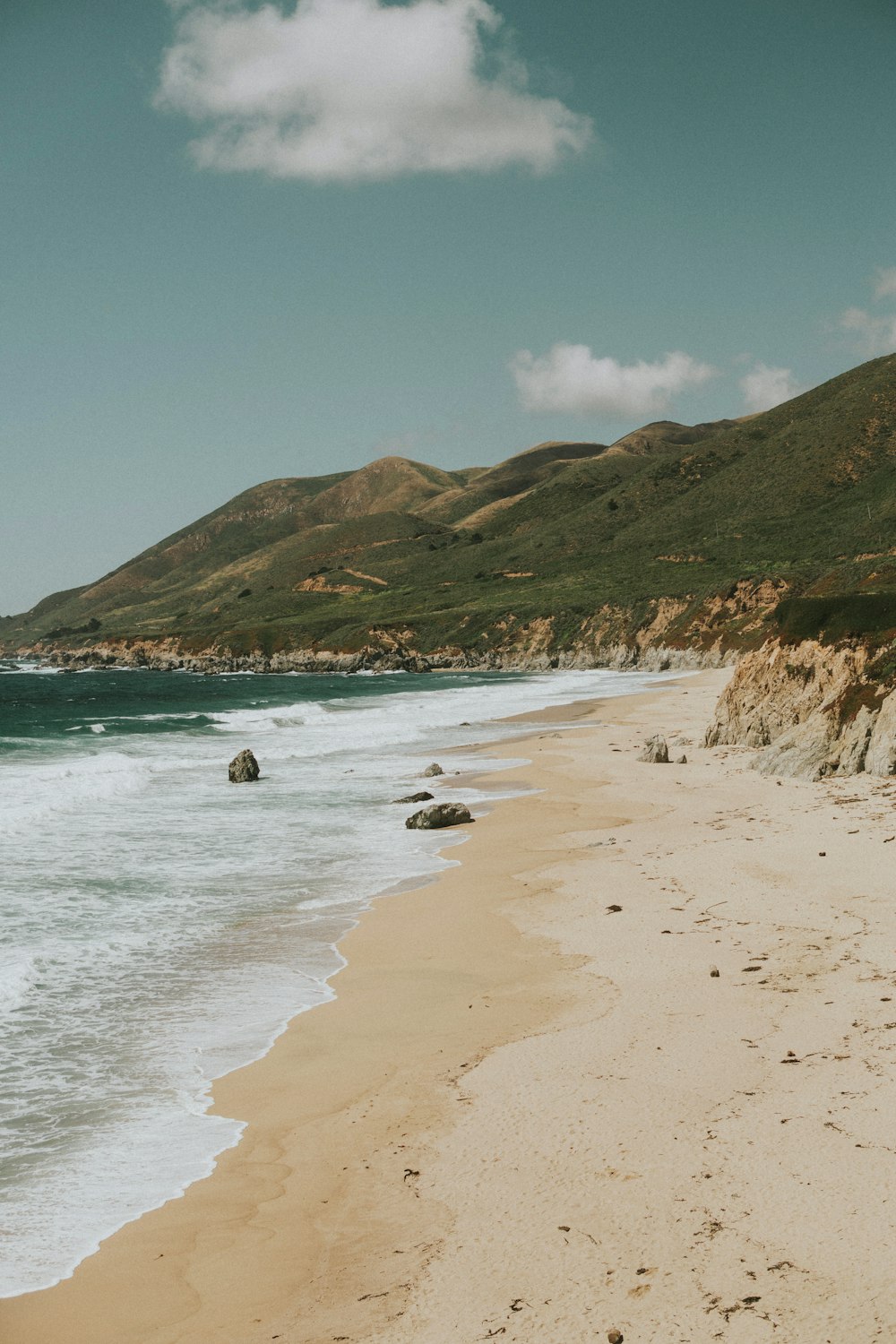 seashore during daytime