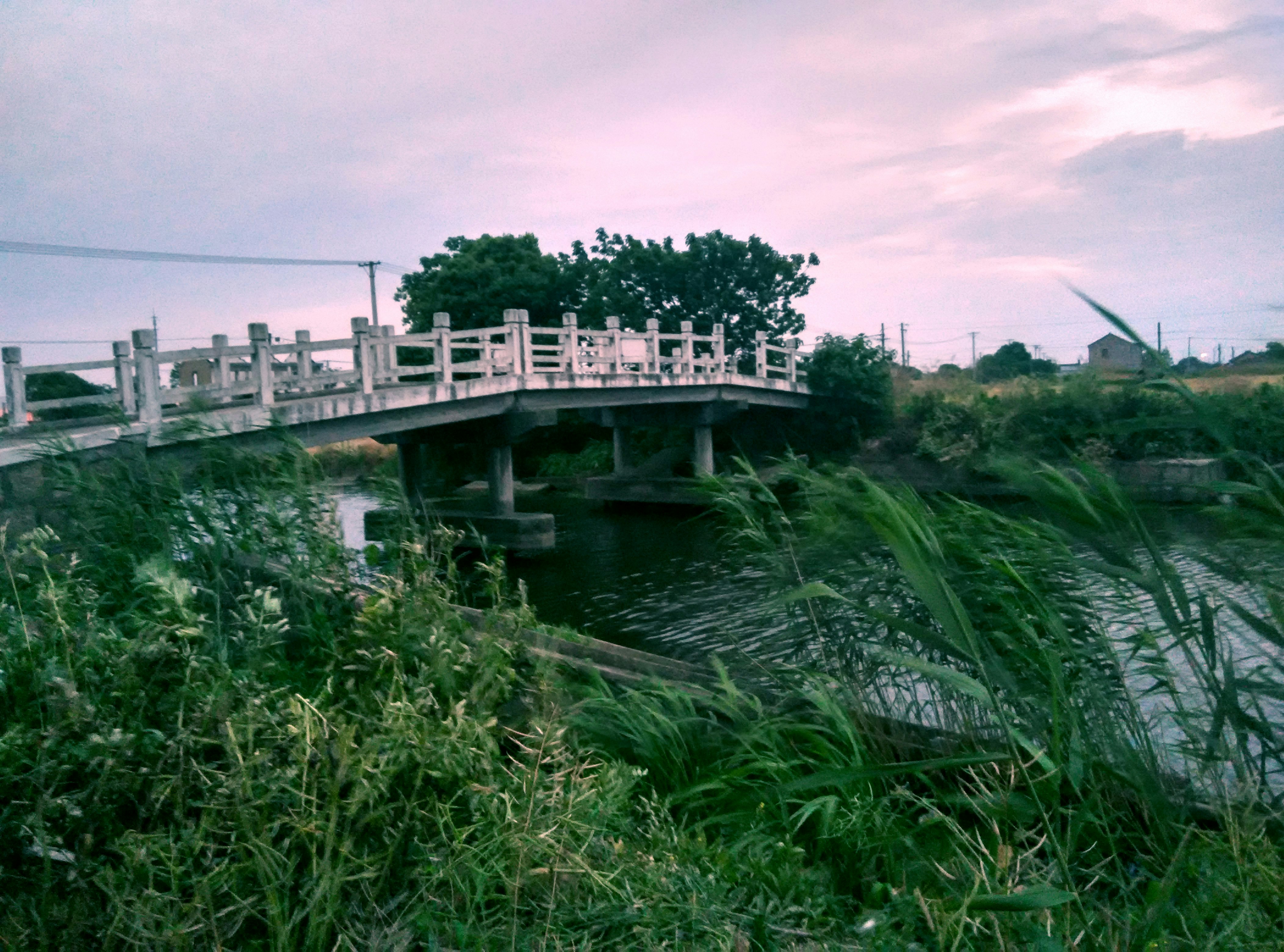 Free Unsplash photo from Yi Xin