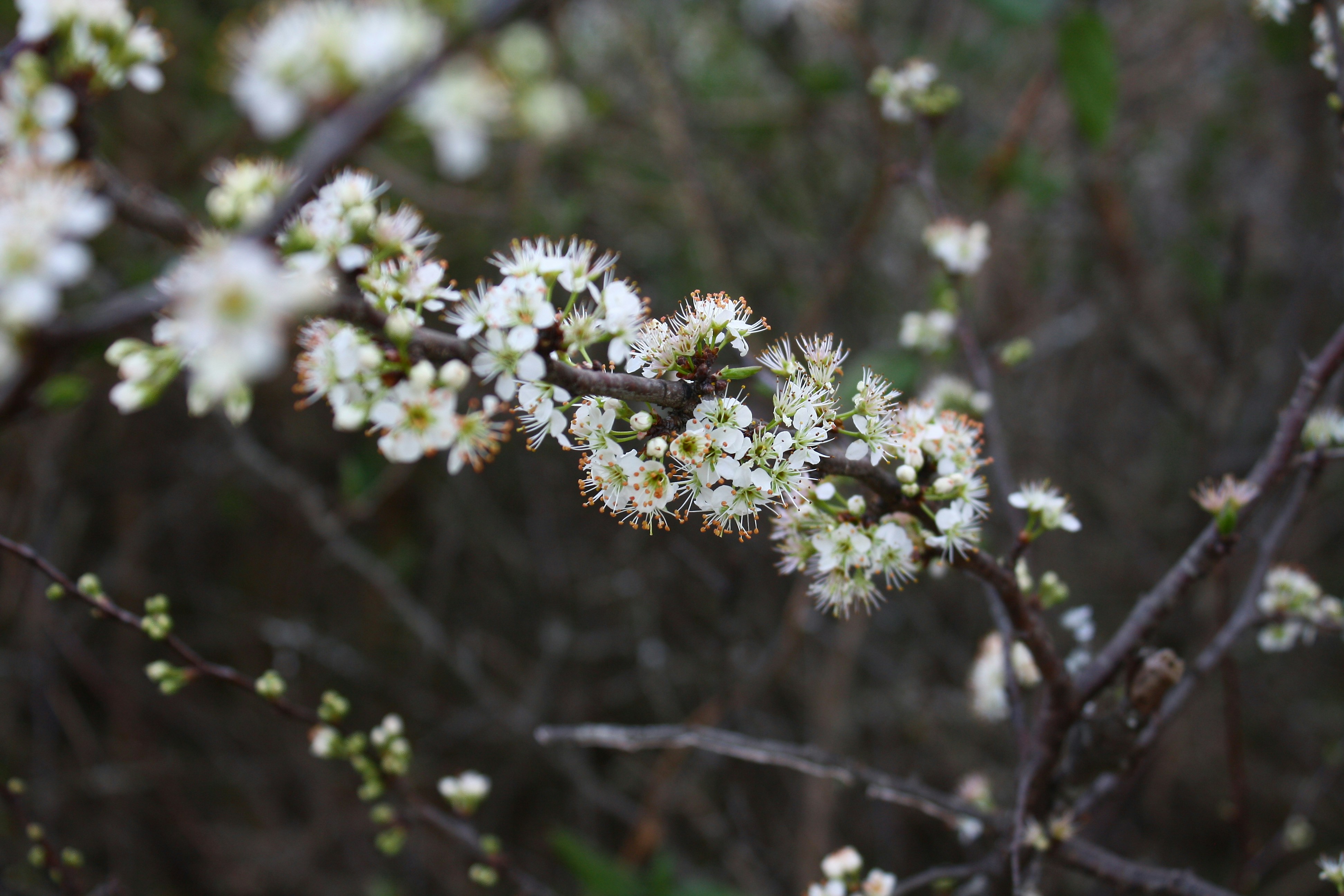 Free Unsplash photo from Ashley Burke