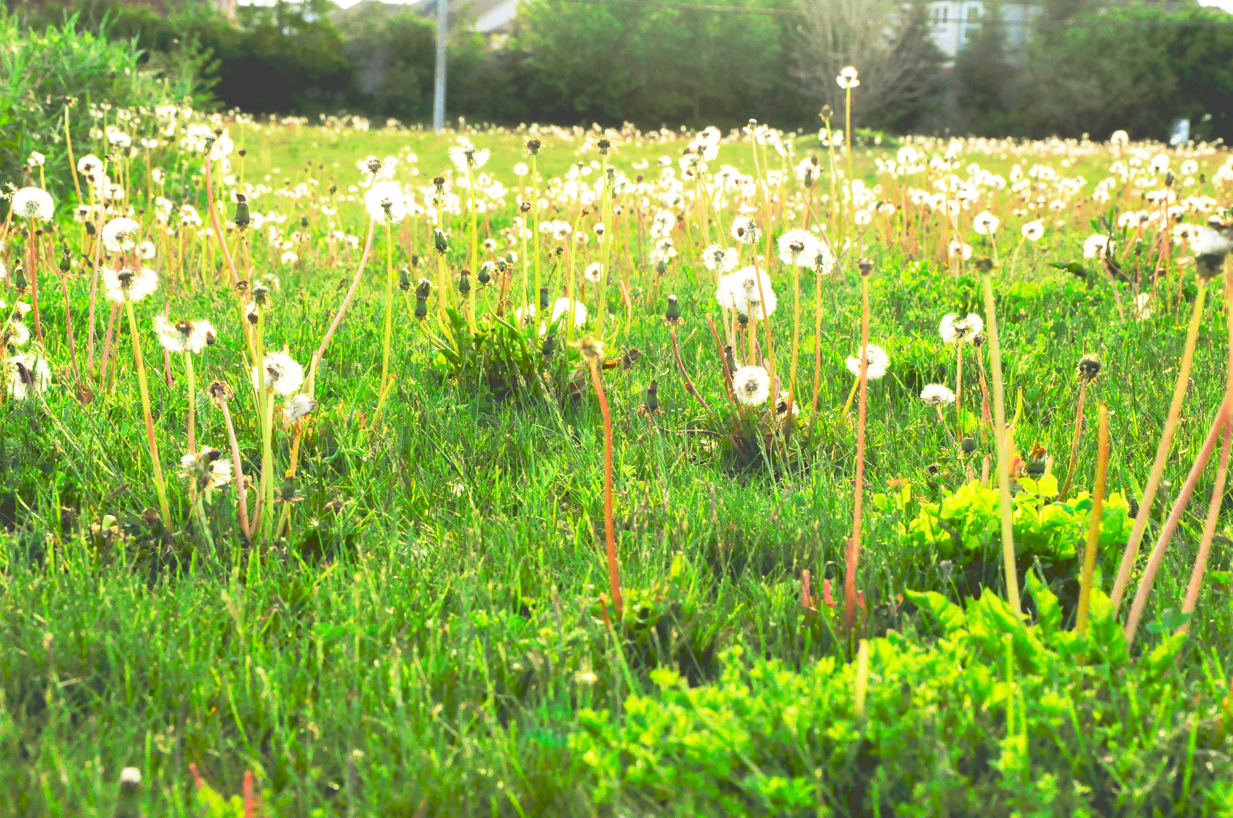 Free Unsplash photo from Jaden Brown-Palmer