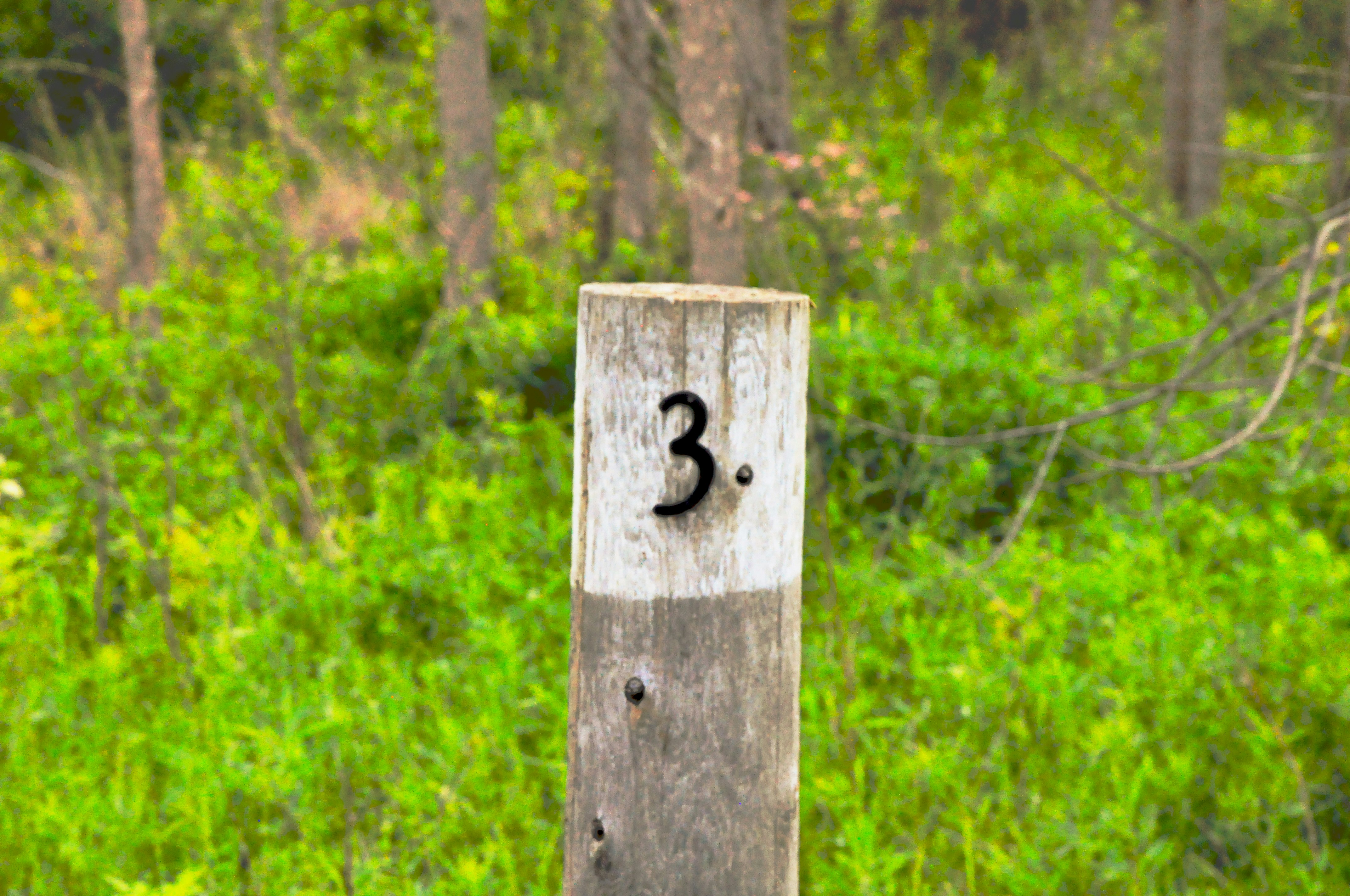 Free Unsplash photo from Jaden Brown-Palmer