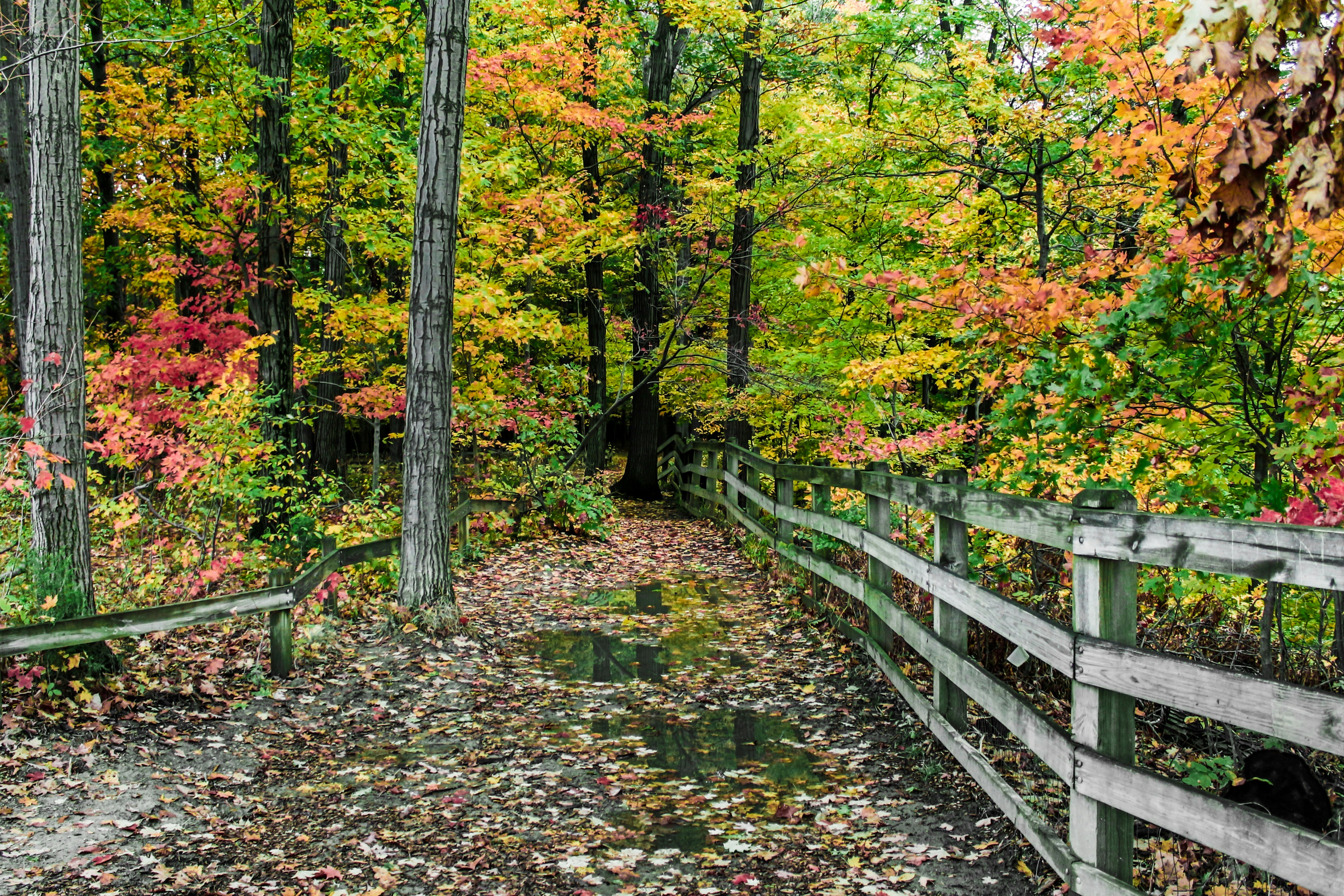 Free Unsplash photo from Dallas Jensen