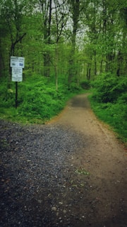A panoramic view of a forest trail lined with sturdy wooden posts and natural wood signage