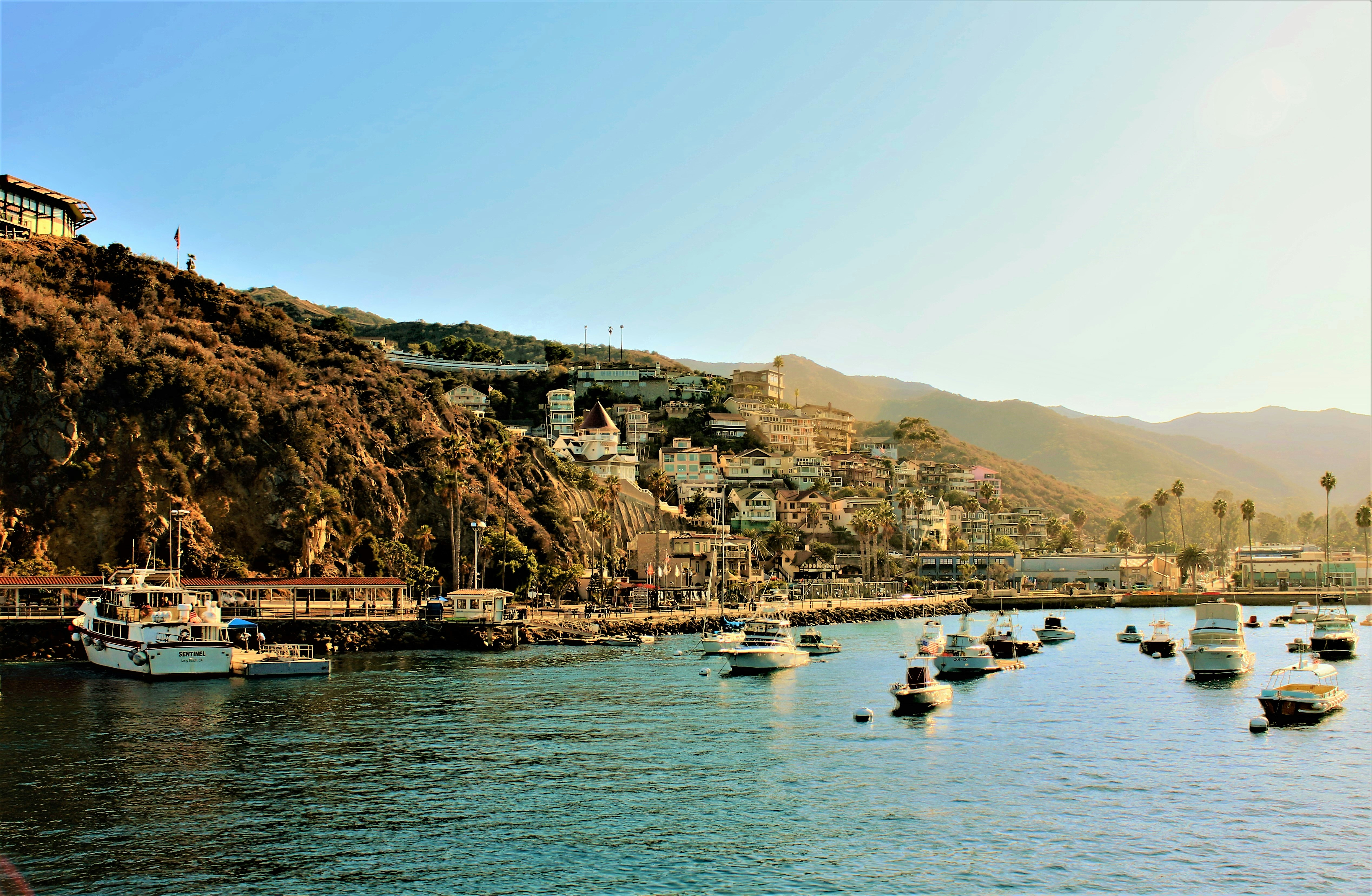 Free Unsplash photo from Dallas Jensen