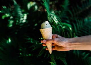 person holding ice cream