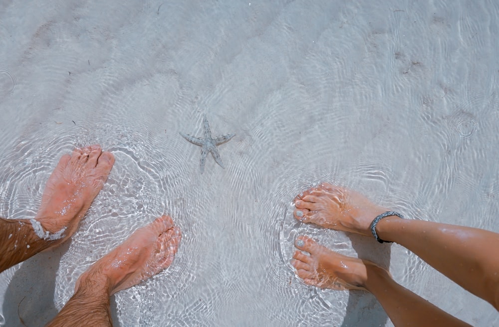 homme et femme sur le bord de la mer à proximité étoile de mer