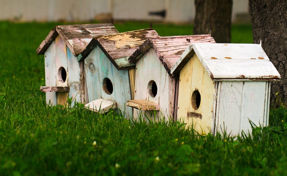four birdhouses on grass
