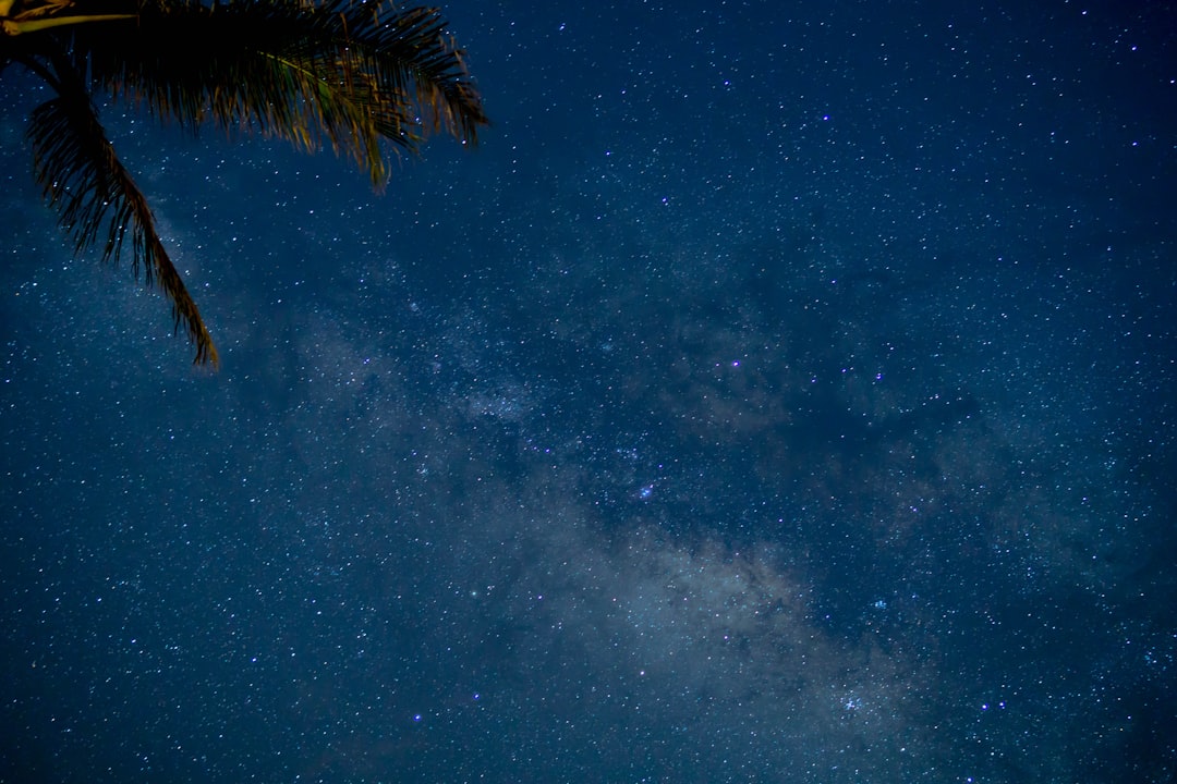 photo of sky full of stars