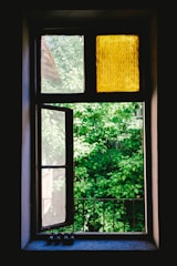 A window with an open pane is framed by a mixture of clear and yellow-tinted glass. Beyond the window, lush green foliage is visible, providing a vibrant backdrop. The soft illumination highlights the contrast between the interior shadows and the bright, sunlit exterior.