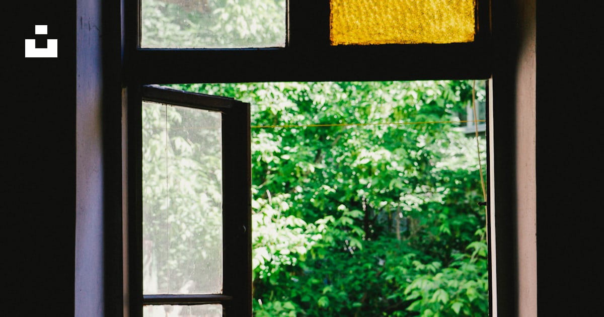 Green leafed trees outside window photo – Free Window Image on Unsplash