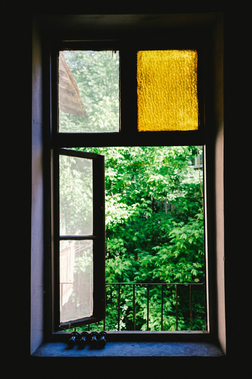 árboles de hojas verdes fuera de la ventana