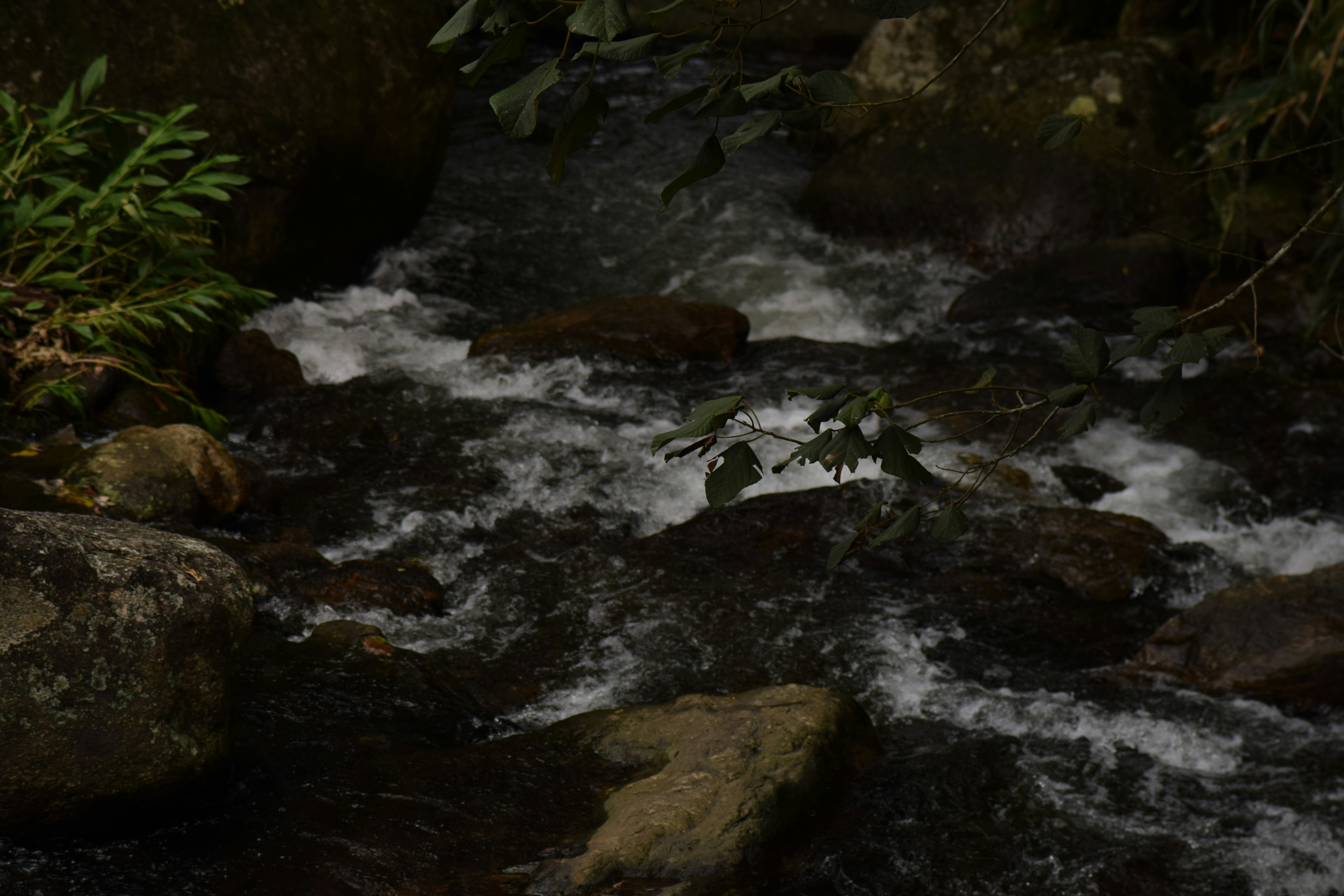 Free Unsplash photo from Natália  Matteoni