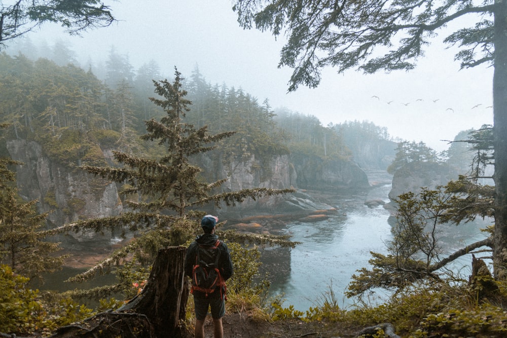 man wearing backpack and standing beside the tree