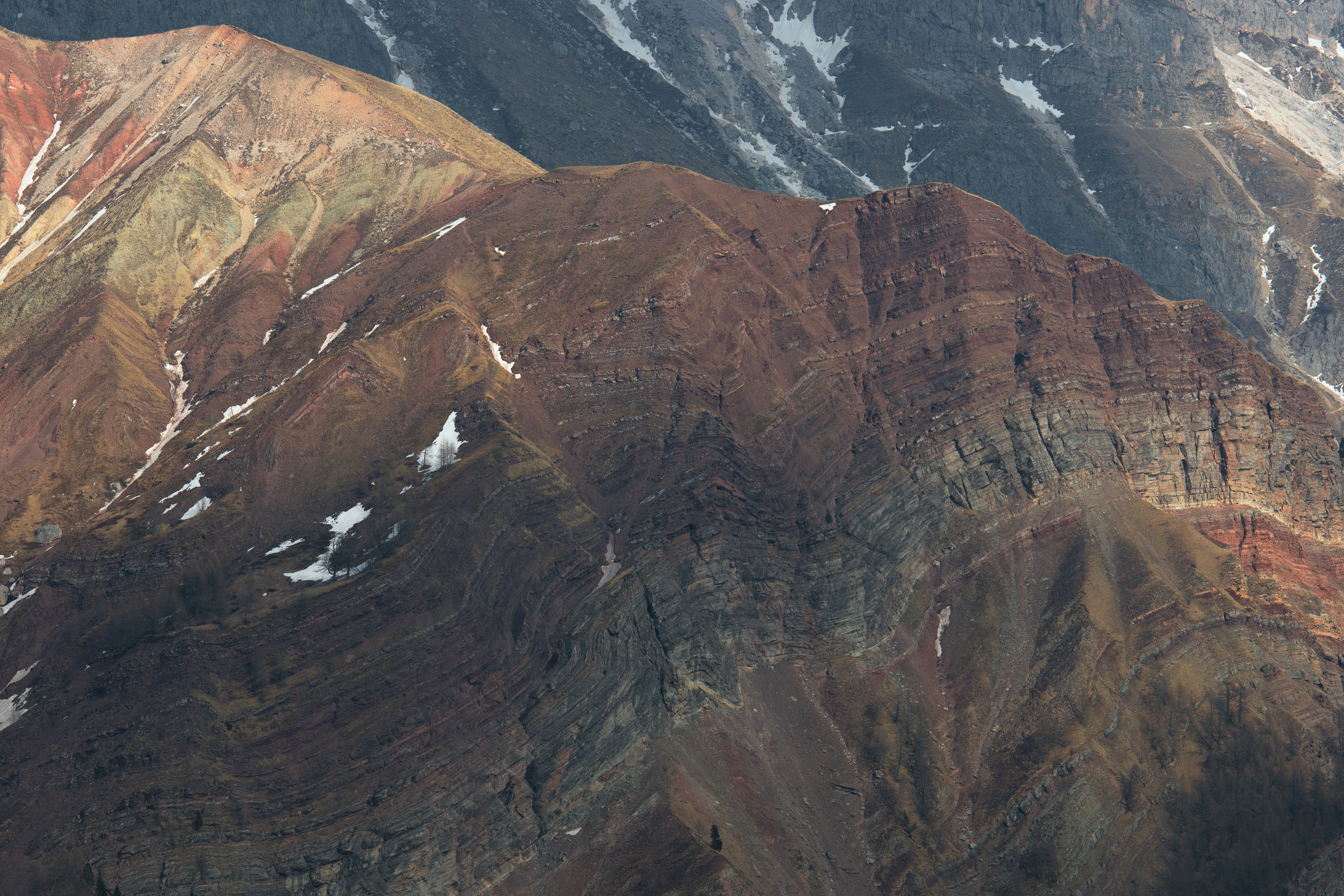 Free Unsplash photo from Federico Bottos