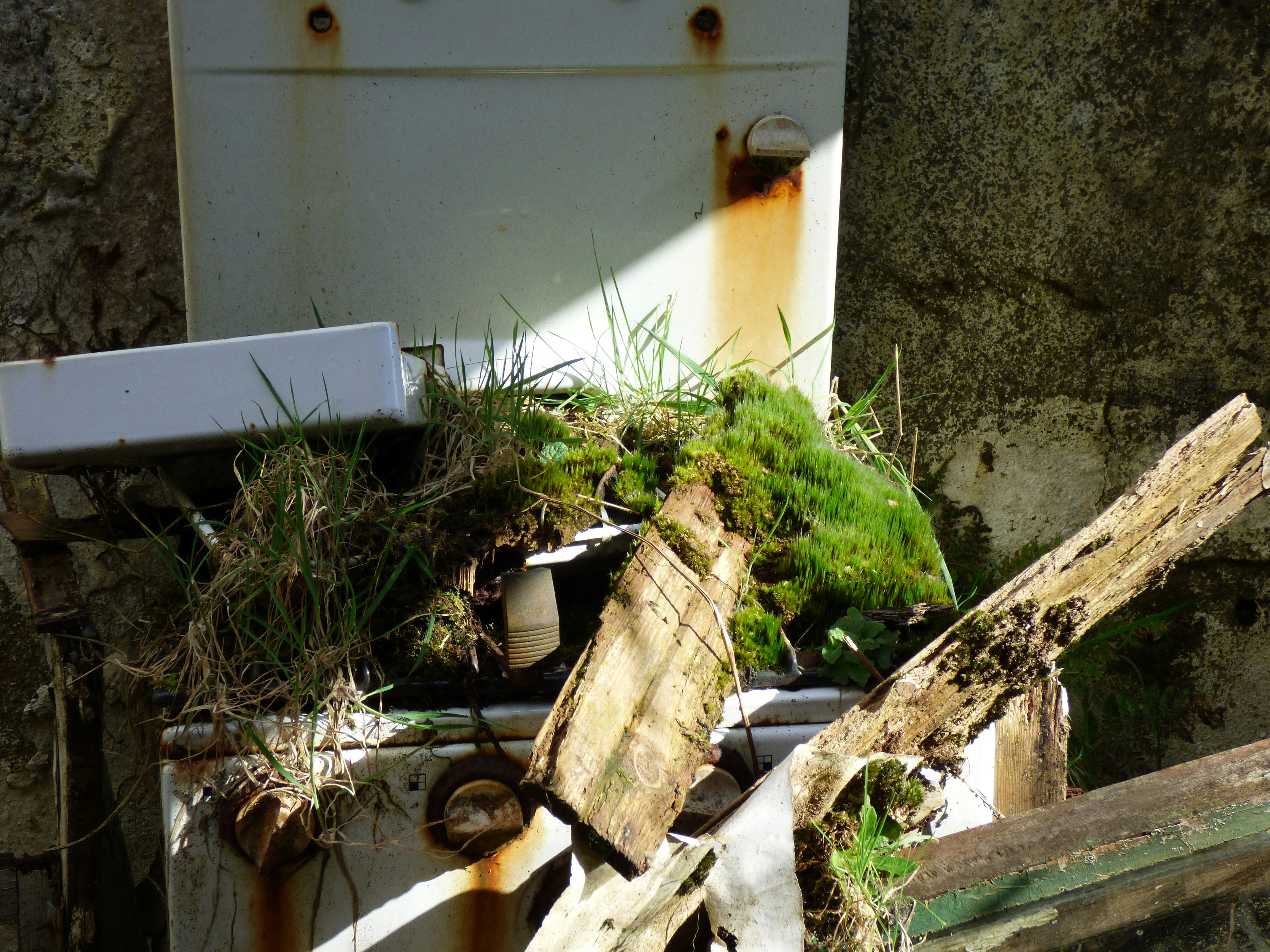 Free Unsplash photo from Paola Vais