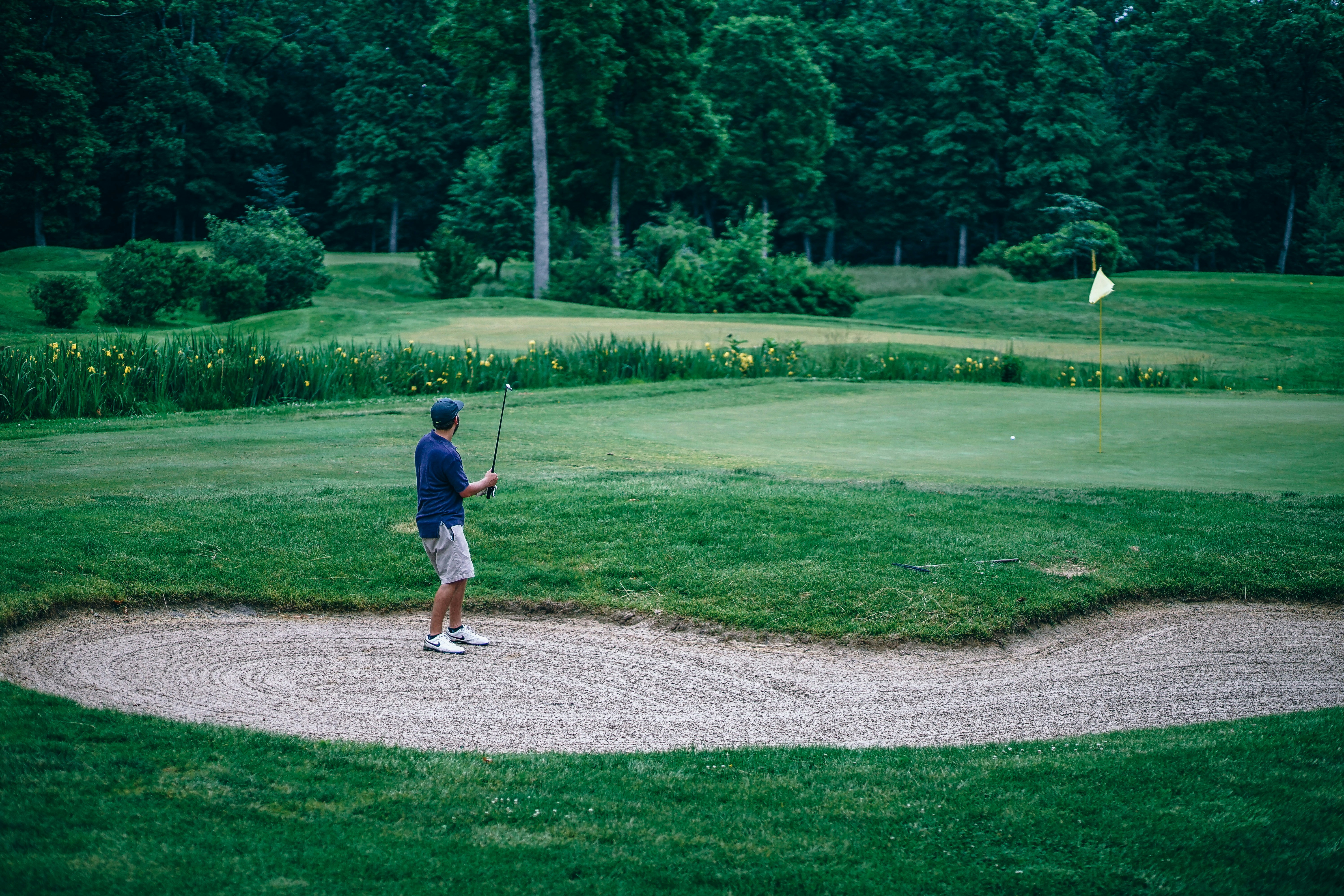 Free Unsplash photo from Igor Ovsyannykov