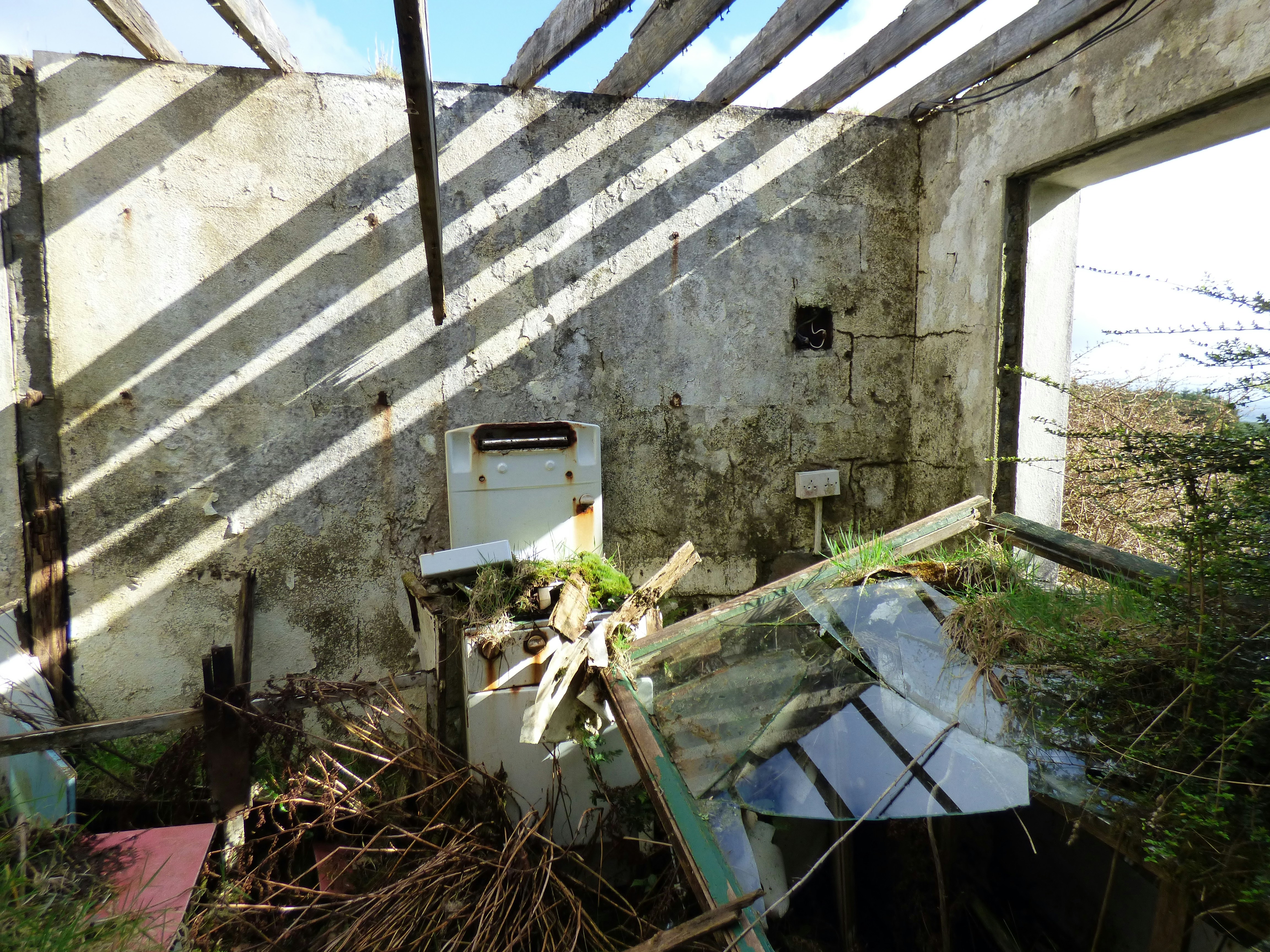 Free Unsplash photo from Paola Vais