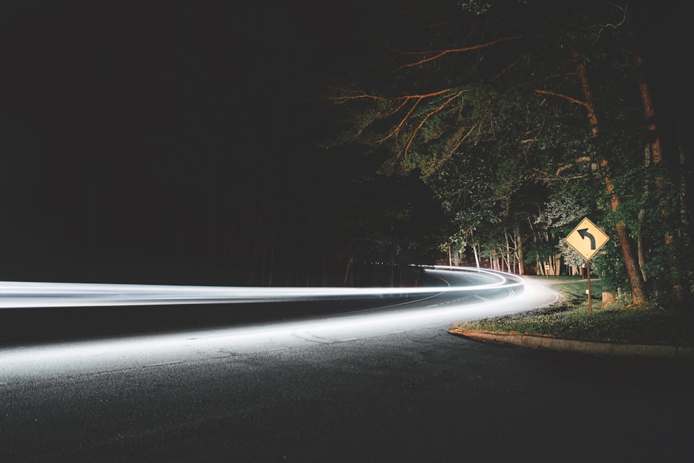 木々のそばのコンクリート道路