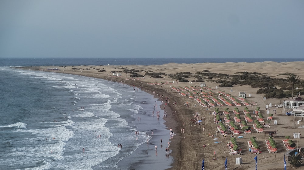 Gente en la playa durante el día