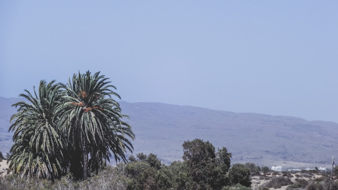 Hill station photo spot La Charca de Maspalomas Spain