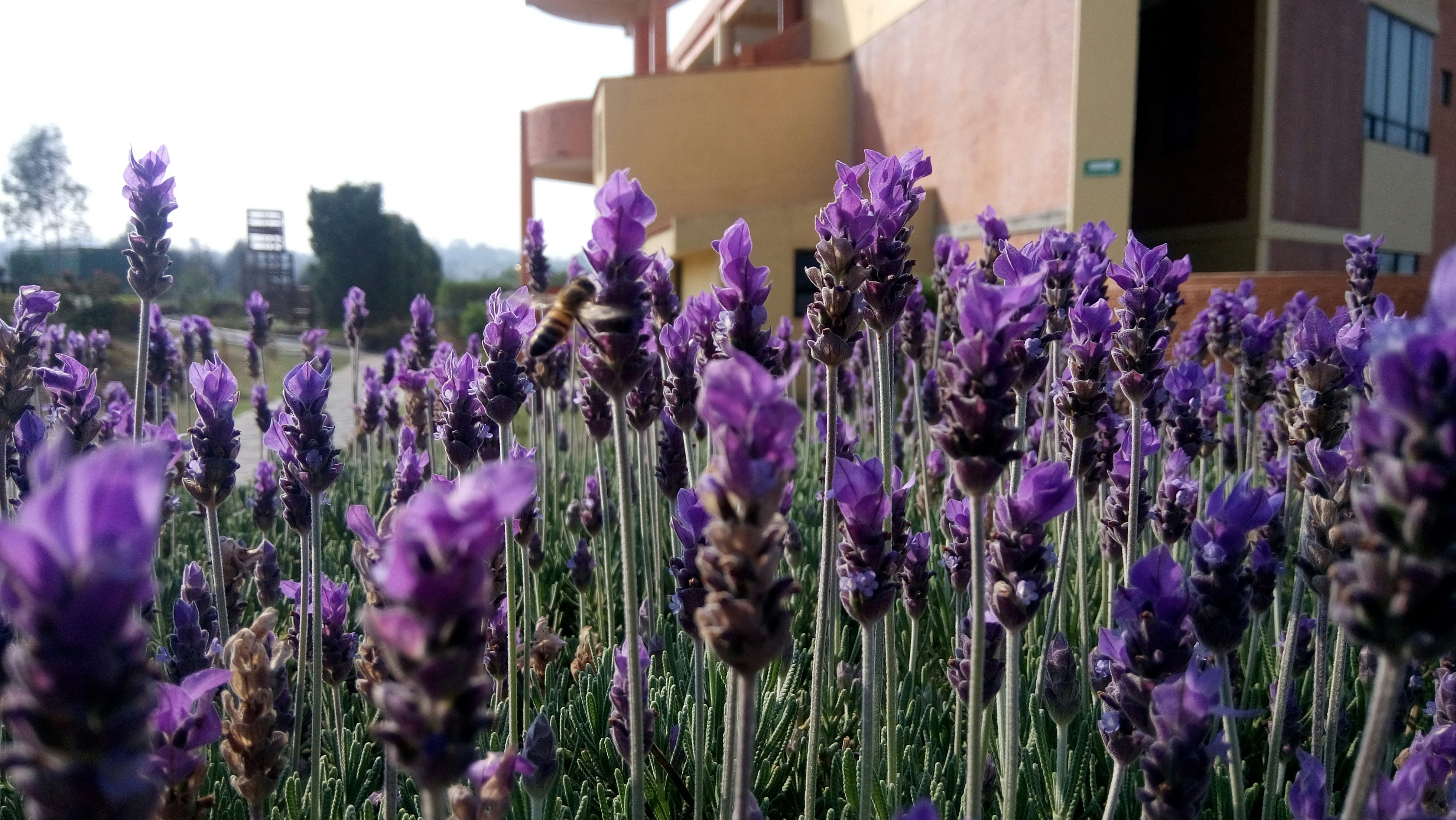 Free Unsplash photo from Jorge Escarcega