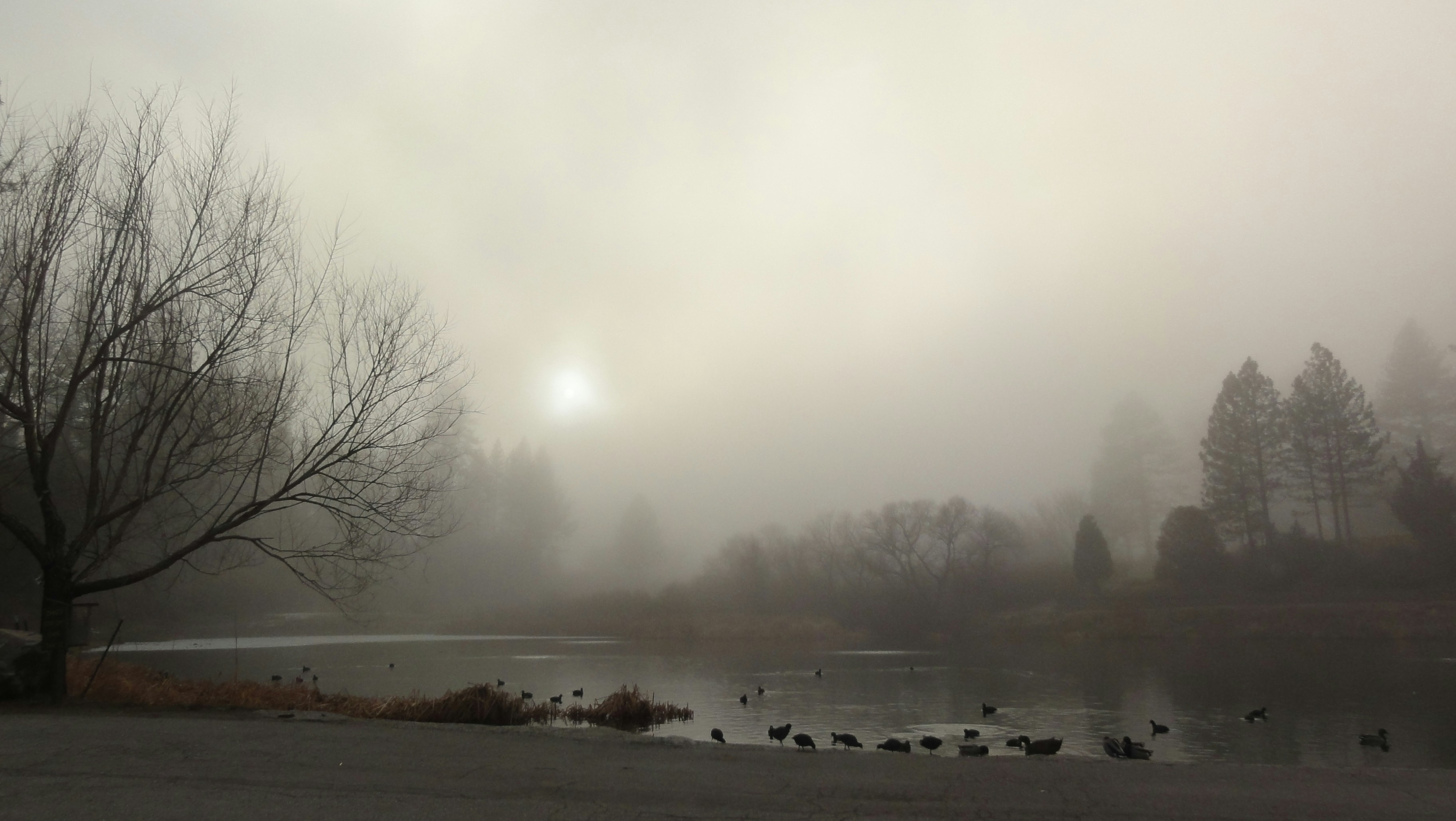 Free Unsplash photo from Mauricio Feldman-Abe