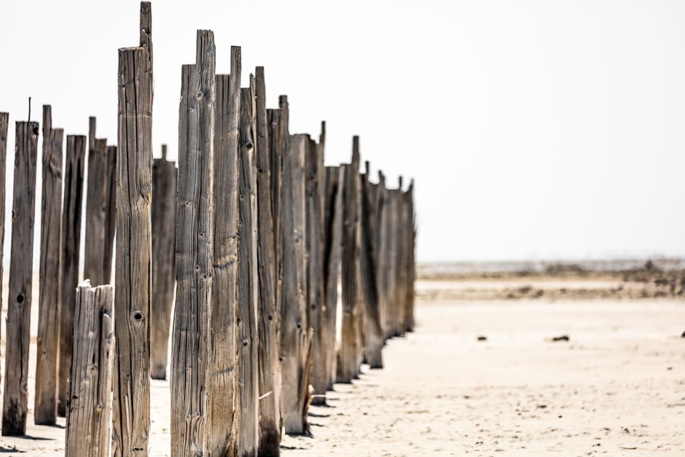 brown wooden fence on white sand during daytime