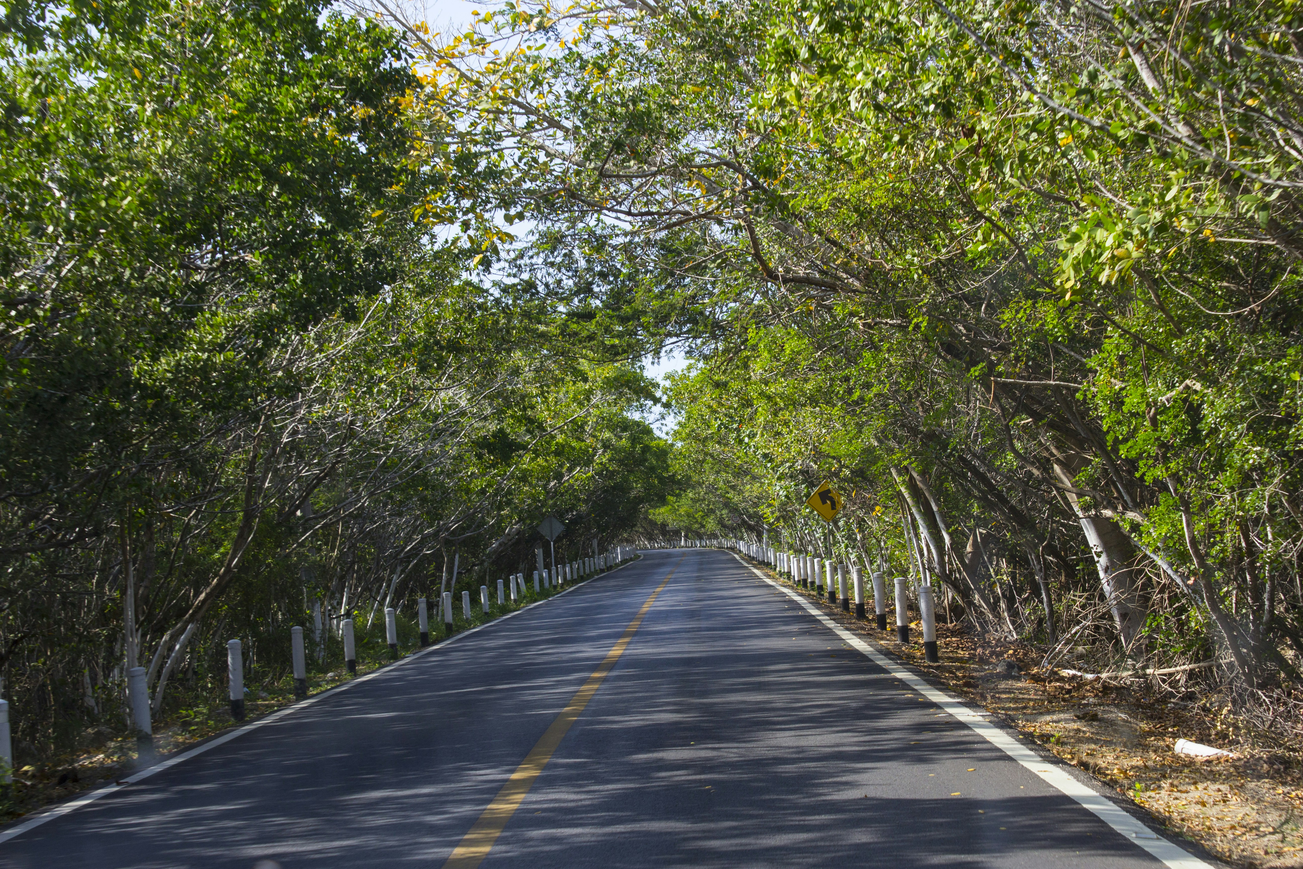 Free Unsplash photo from Haina Baas