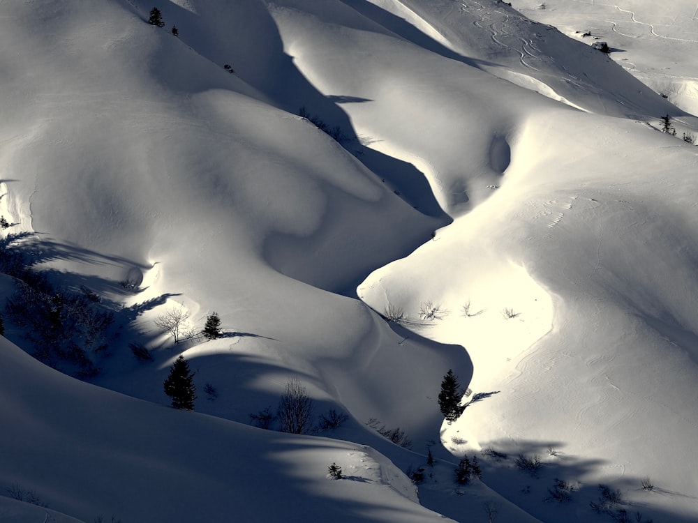 aerieal photo of snow