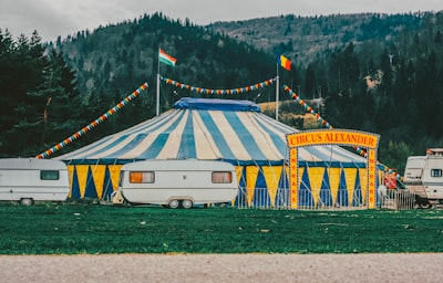 circus alexander romania zoom background