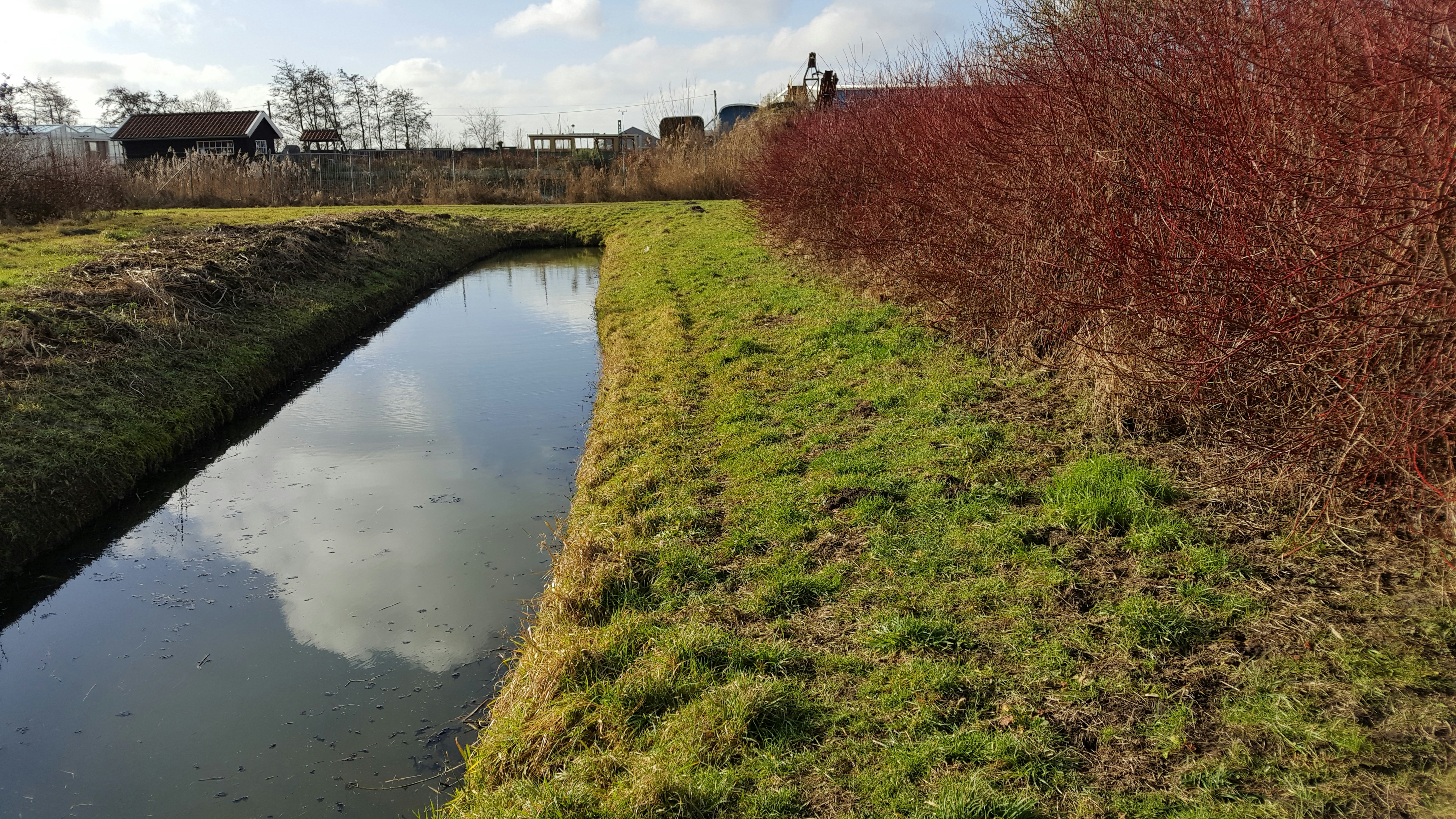 Free Unsplash photo from Toon van Opstal