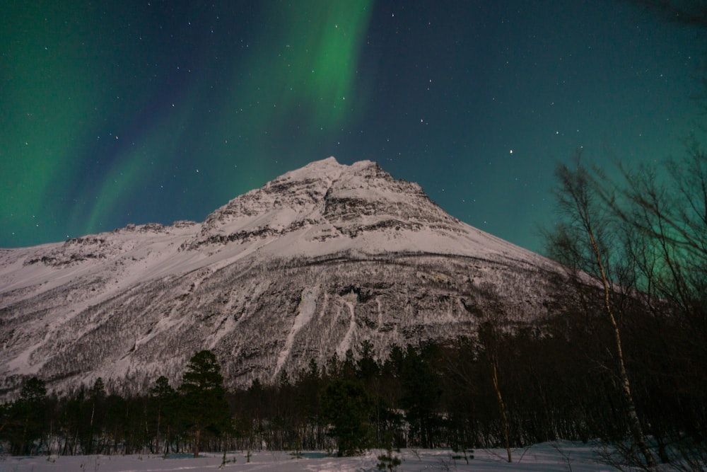 fotografia di paesaggio della montagna di neve sotto l'aurora boreale