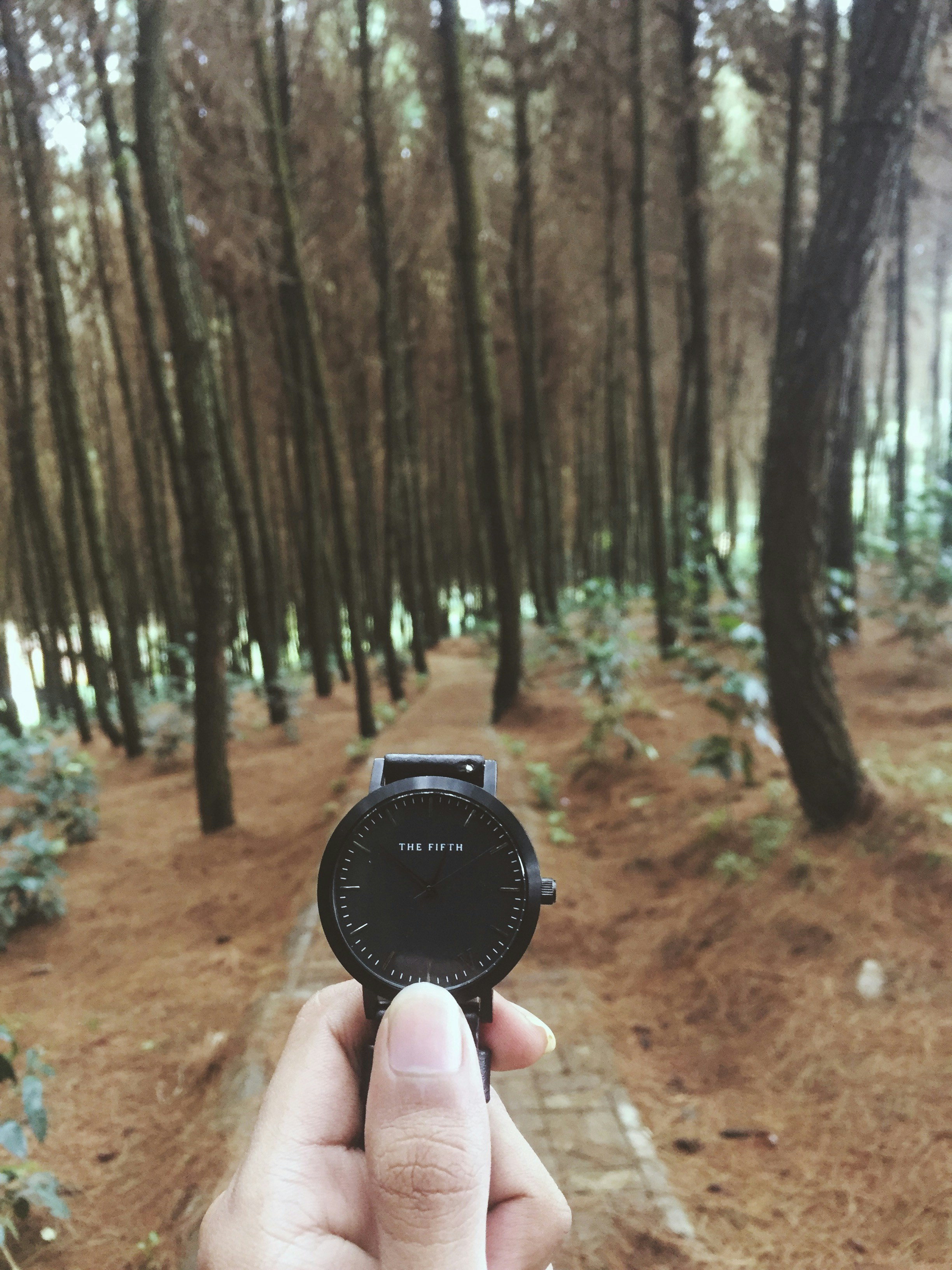 Free Unsplash photo from Aditya Hutama Putra